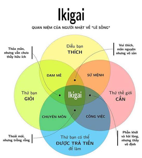Ứng dụng ikigai trong xác định chủ đề blog
